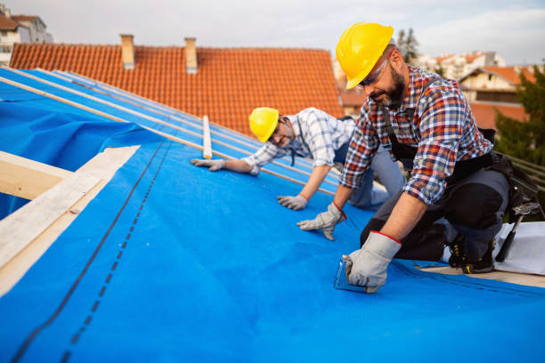 Best Storm Damage Roof Repair  in Pinch, WV